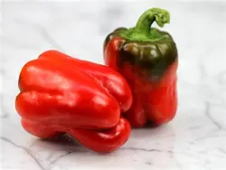 بذر فلفل دلمه قرمز کالیفرنیا بسته ۲۵ عددی