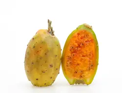 بذر کاکتوس اپونتیا گلابی مالتا تو زرد بسته 5 عددی