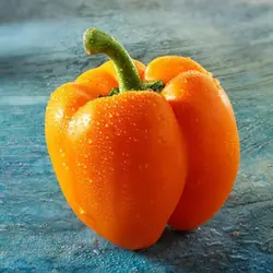 بذر فلفل دلمه نارنجی هیبرید آمریکایی بسته 5 عددی