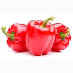بذر فلفل دلمه قرمز هیبرید آمریکایی بسته 5 عددی