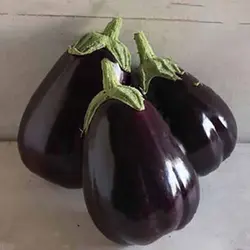 بذر بادمجان دلمه ای هیبرید گلکسی بسته 10 عددی