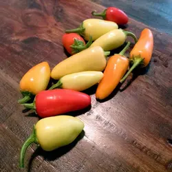 بذر فلفل سانتافه آمریکایی بسته 10 عددی
