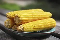 بذر ذرت بلال شیرین استاندارد بسته 30 عددی