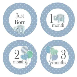 استیکر ماهگرد نوزاد پسرانه کد 007 بیبی تایم Baby time