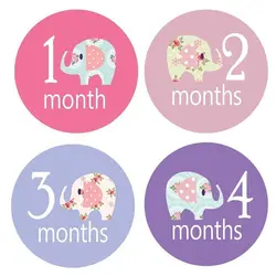 استیکر ماهگرد نوزاد کد 009 بیبی تایم Baby time