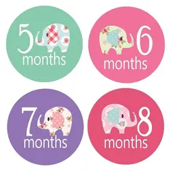 استیکر ماهگرد نوزاد کد 009 بیبی تایم Baby time