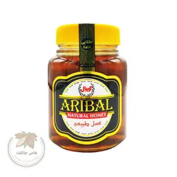 عسل طلایی 1450 گرمی آریبال