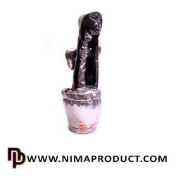 کاکتوس موزیکال طرح اسکویید گیم (فرد پیشرو)
