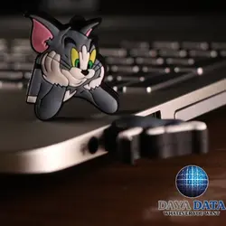 فلش مموری عروسکی تام