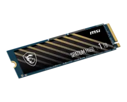 قیمت و خرید اس اس دی ام اس آی 1 ترابایت MSI SPATIUM M450 PCIe 4.0 NVMe M.2