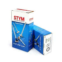 سوپاپ دود و بنزین شرکتی ساوه STYM تیبا ساینا