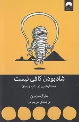 شاد بودن کافی نیست (جستارهایی در باب زیستن)