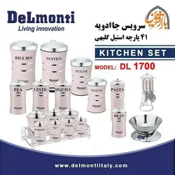 سرویس جا ادویه 41 پارچه دلمونتی استیل و کرم مدل DL1700