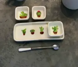 ظرف 4 تکه طرح کاکتوس