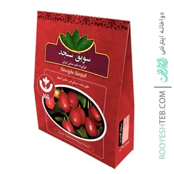 پودر كامل سنجد مرغوب زاگرس شفای کردستان
