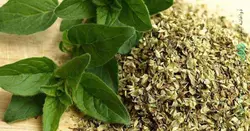 پونه (چای پونه)
