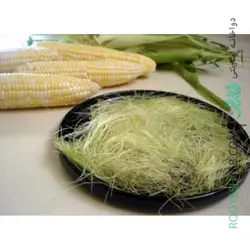 کاکل ذرت