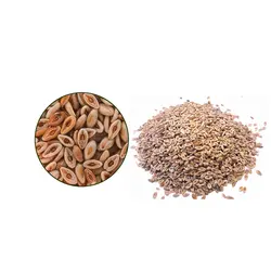 اسفرزه