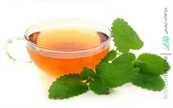 بادرنجبویه (چای بادرنجبویه)