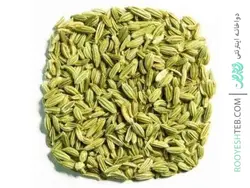 تخم رازیانه (بادیان)