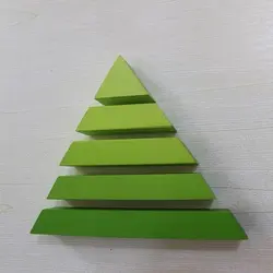 درخت کاج مونته سوری