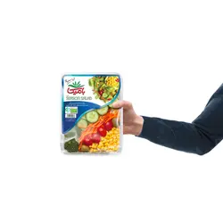 سالاد بهار بامیکا