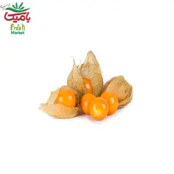 فیسالیس ارگانیک مزرعه سالم