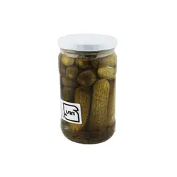 خیارشور خاردار پرشین گاردن