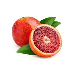 پرتقال توسرخ شمال
