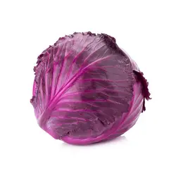 کلم بنفش