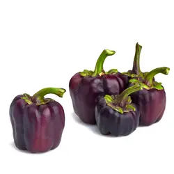 فلفل دلمه ای ارگانیک مزرعه سالم