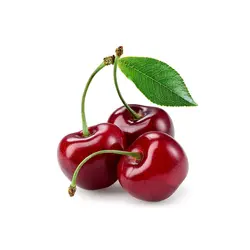 آلبالو وارداتی