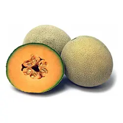 طالبی آناناسی