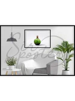 مینی تراریوم - mini terrarium