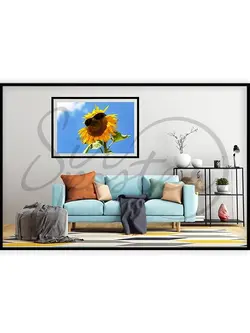 آفتابگردان خوشحال - happy sunflower