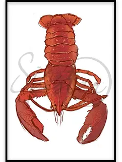 خرچنگ - lobster