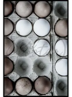 تخم مرغ 80 - eggs
