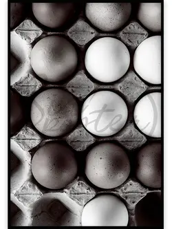 تخم مرغ 6 - eggs
