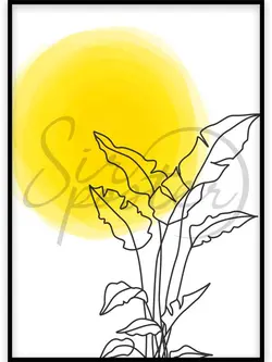 برگ آفتابگردان خطی -  linear Sunflower leaves