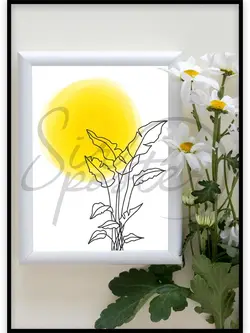 برگ آفتابگردان خطی -  linear Sunflower leaves