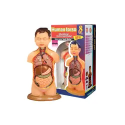 اسباب بازی آموزشی مولاژ انسان
