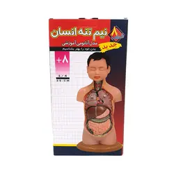 اسباب بازی آموزشی مولاژ انسان