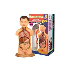 اسباب بازی آموزشی مولاژ انسان