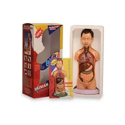 اسباب بازی آموزشی مولاژ انسان