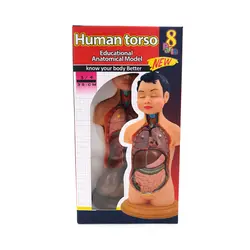 اسباب بازی آموزشی مولاژ انسان