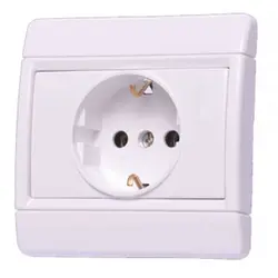 پریز ارت محافظ دار دلند طرح رایان - برق تولز