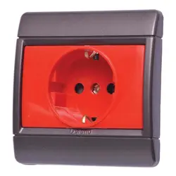 پریز ارت محافظ دار ups دلند طرح رایان - برق تولز