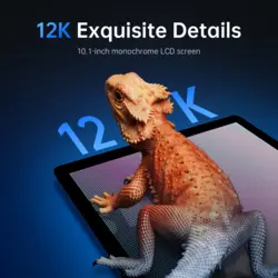 پرینتر سه بعدی Anycubic مدل Photon Mono M5s