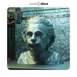 مدل سه بعدی Albert Einestein | خرید و کسب اطلاعات بیشتر | فروشگاه 3Dier