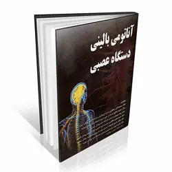 آناتومی بالینی دستگاه عصبی جغتایی